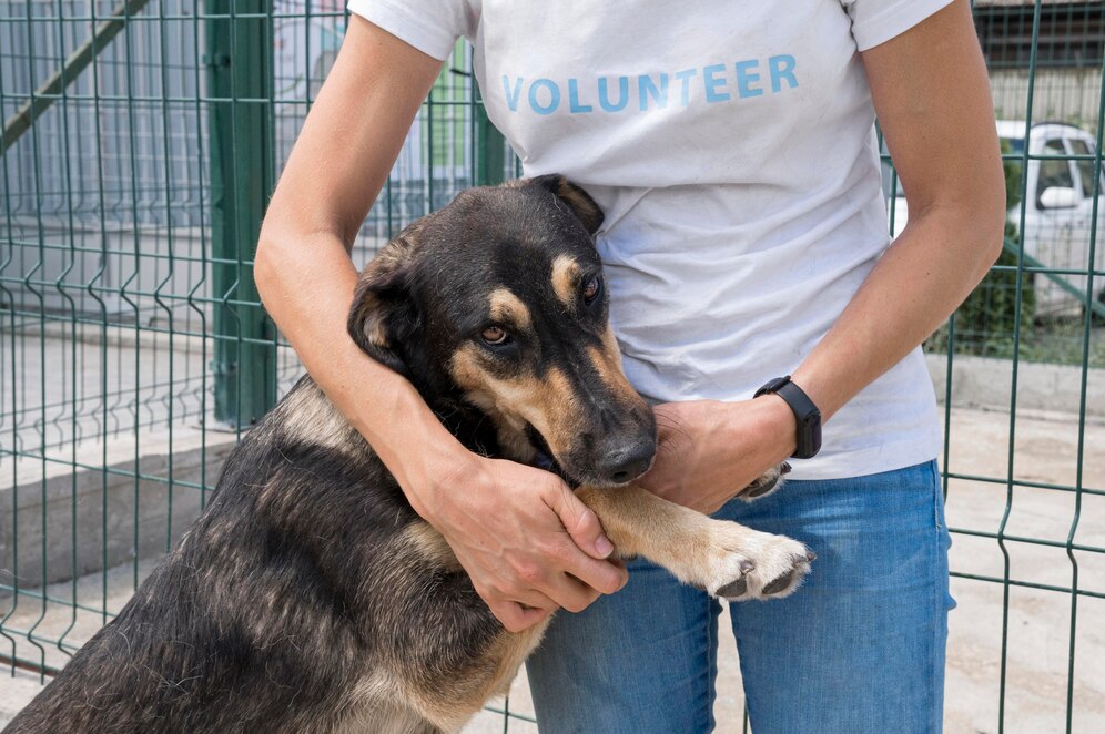 How to Create a Fundraising Event for Your Local Dog Rescue: Best Practices