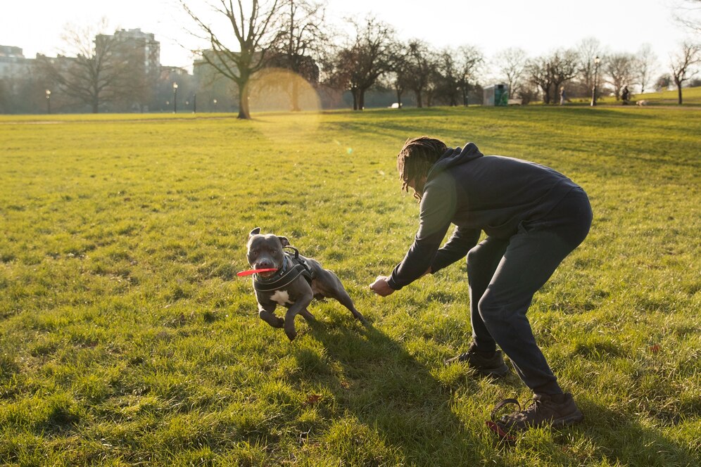 The Benefits of K9 Training for Pets: Enhancing Behavior, Bonding, and Overall Well-Being