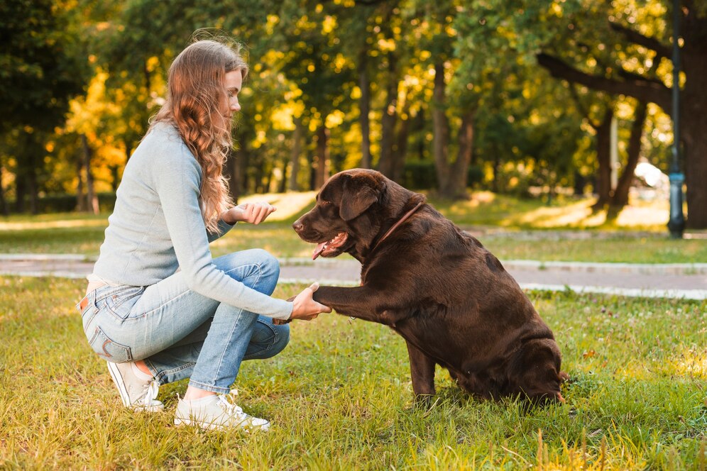 Exploring Positive Reinforcement Techniques in Canine Training: A Comprehensive Guide for Pet Owners